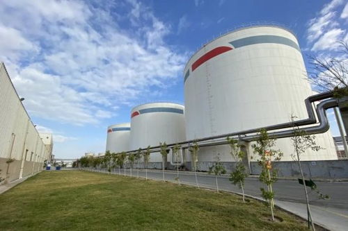 安琪酵母海外工廠 扎根當(dāng)?shù)兀仓G色未來(lái)