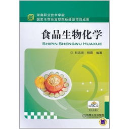 食品生物化學 生物化工在國家示范性高職院校建設中的核心實踐與成果轉化